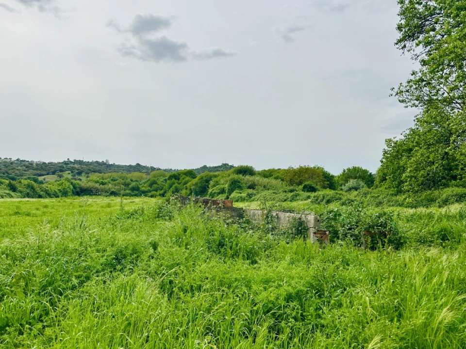 Quinta para Venda em São Miguel do Rio Torto e Rossio Ao Sul do Tejo Foto 13