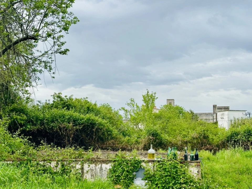 Quinta para Venda em São Miguel do Rio Torto e Rossio Ao Sul do Tejo Foto 14