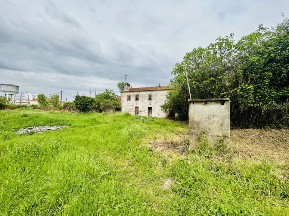 Quinta para Venda em São Miguel do Rio Torto e Rossio Ao Sul do Tejo Foto 2