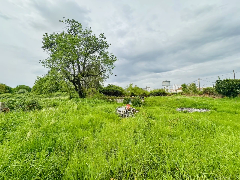 Quinta para Venda em São Miguel do Rio Torto e Rossio Ao Sul do Tejo Foto 17