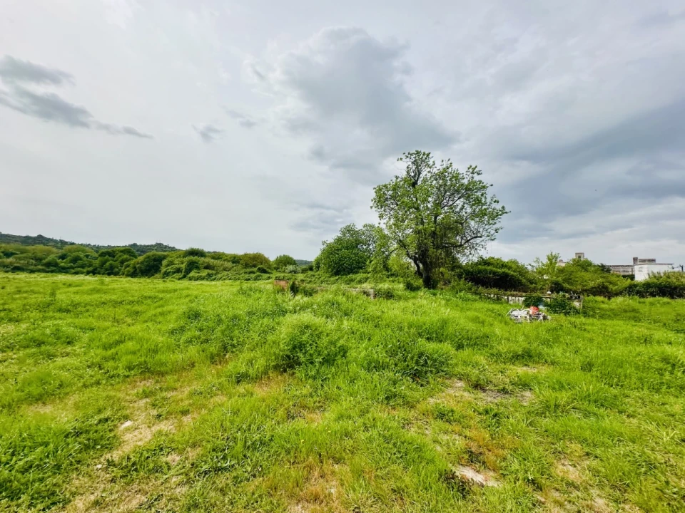 Quinta para Venda em São Miguel do Rio Torto e Rossio Ao Sul do Tejo Foto 20