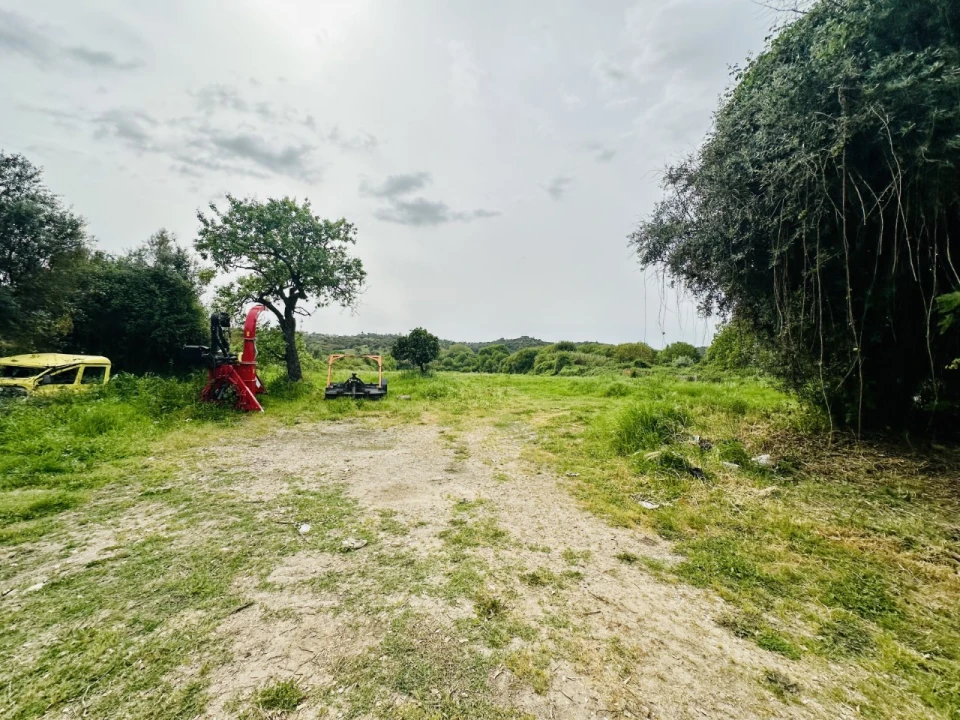 Quinta para Venda em São Miguel do Rio Torto e Rossio Ao Sul do Tejo Foto 22