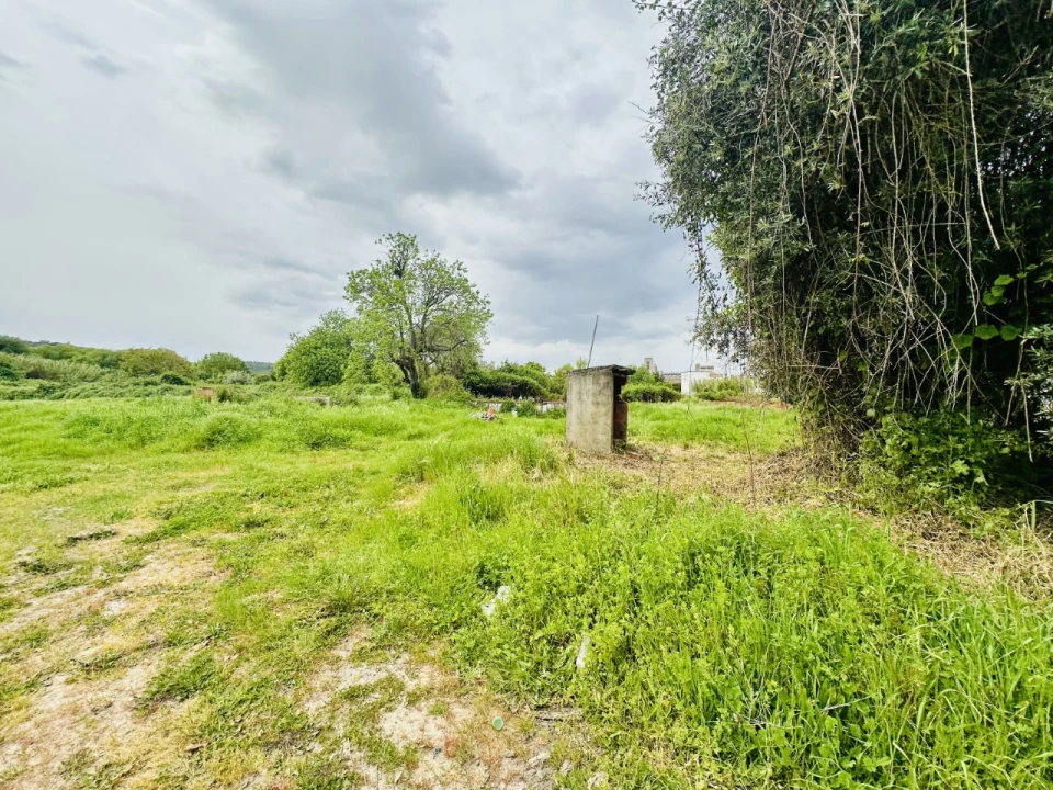 Quinta para Venda em São Miguel do Rio Torto e Rossio Ao Sul do Tejo Foto 23