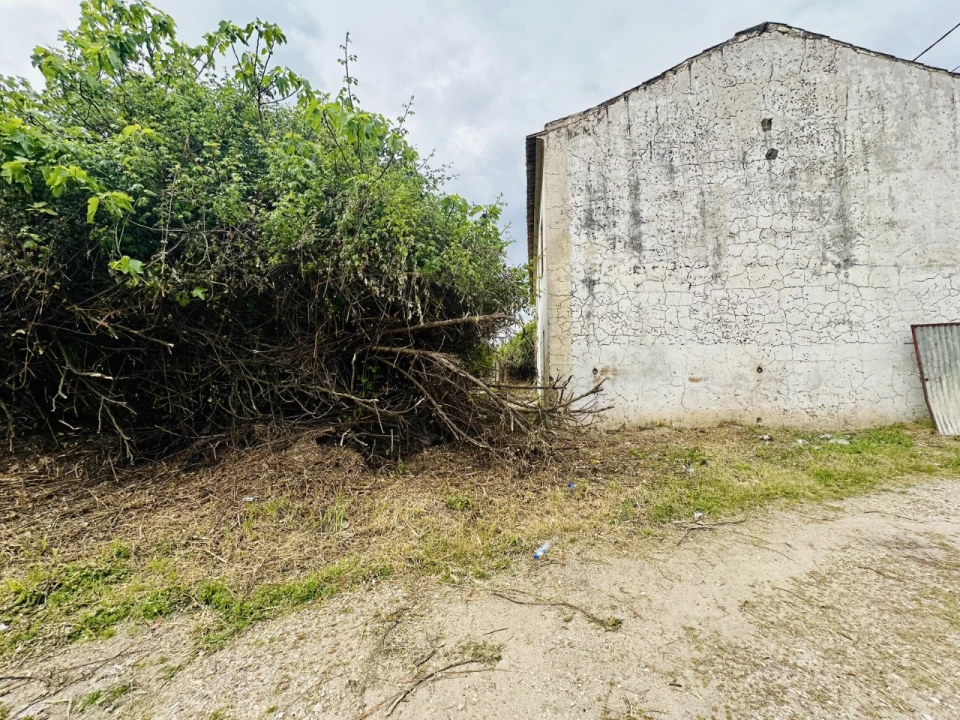 Quinta para Venda em São Miguel do Rio Torto e Rossio Ao Sul do Tejo Foto 18
