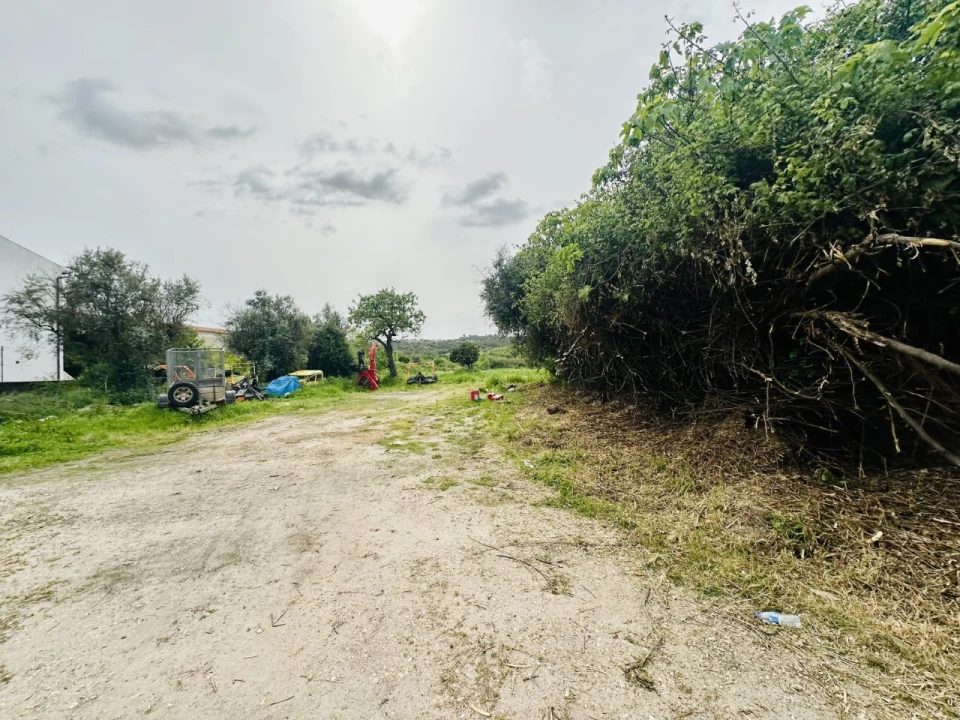 Quinta para Venda em São Miguel do Rio Torto e Rossio Ao Sul do Tejo Foto 27