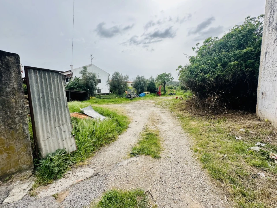 Quinta para Venda em São Miguel do Rio Torto e Rossio Ao Sul do Tejo Foto 29