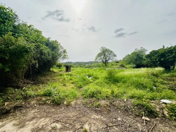 Quinta para Venda em São Miguel do Rio Torto e Rossio Ao Sul do Tejo