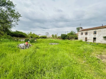 Quinta para Venda em São Miguel do Rio Torto e Rossio Ao Sul do Tejo