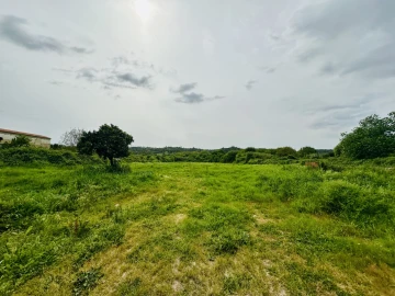 Quinta para Venda em São Miguel do Rio Torto e Rossio Ao Sul do Tejo