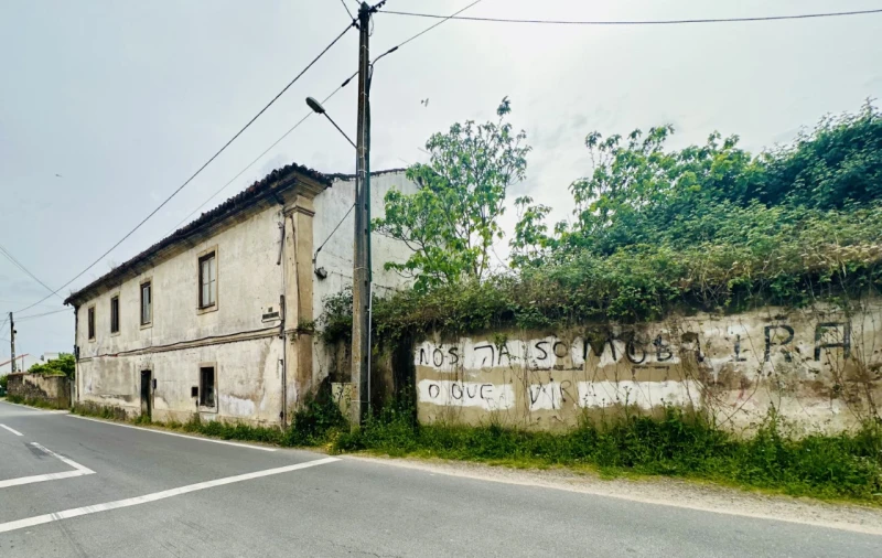 Quinta para Venda em São Miguel do Rio Torto e Rossio Ao Sul do Tejo