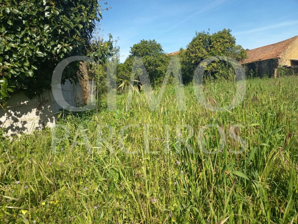 Moradia T3 para Venda em Amoreira da Gândara, Paredes do Bairro e Ancas Foto 25