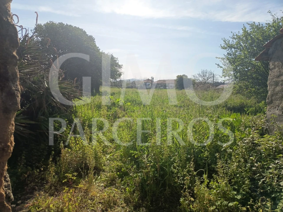 Moradia T3 para Venda em Amoreira da Gândara, Paredes do Bairro e Ancas Foto 28