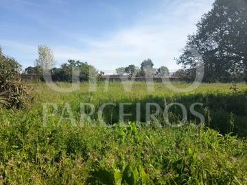 Moradia T3 para Venda em Amoreira da Gândara, Paredes do Bairro e Ancas