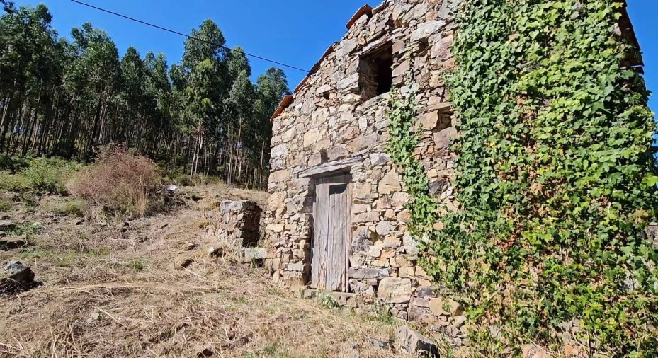 Moradia T3 para Venda em Ferreira do Zezere Foto 10