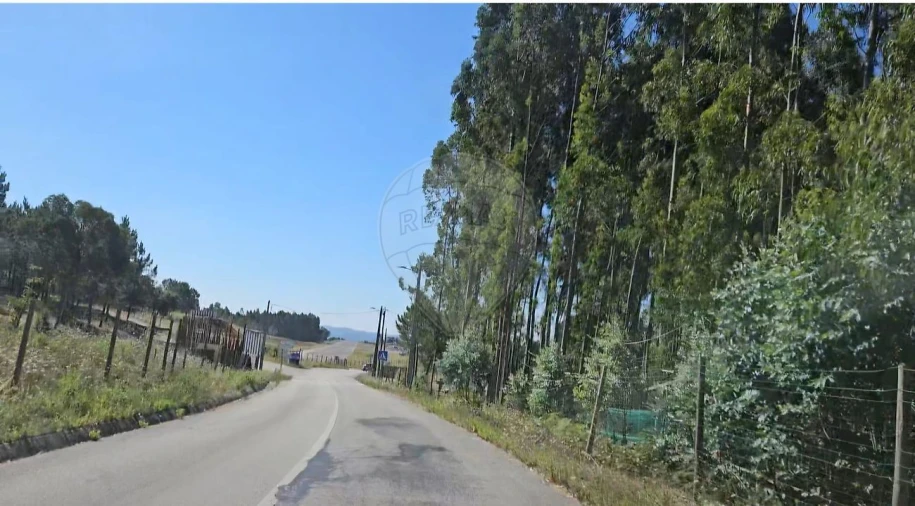 Moradia T3 para Venda em Ferreira do Zezere Foto 5