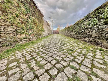 Terreno para Venda em São João da Pesqueira e Várzea de Trevões