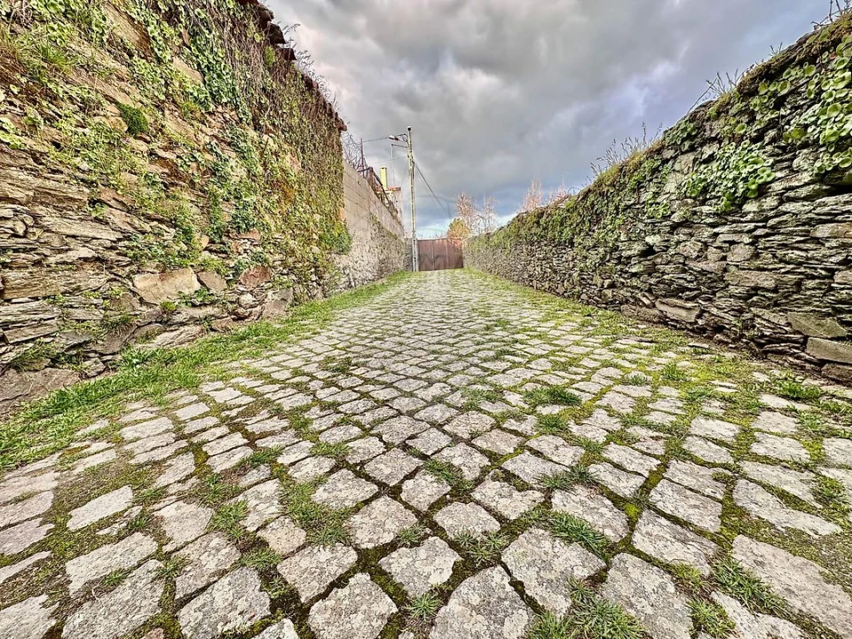 Terreno para Venda em São João da Pesqueira e Várzea de Trevões Foto 2