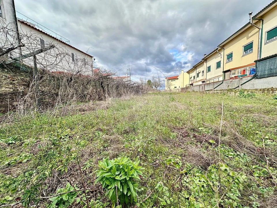 Terreno para Venda em São João da Pesqueira e Várzea de Trevões Foto 1