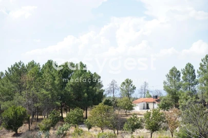 Terreno Agricola ou Rústico para Venda em Sortelha