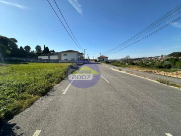 Terreno para Venda em Sanguedo