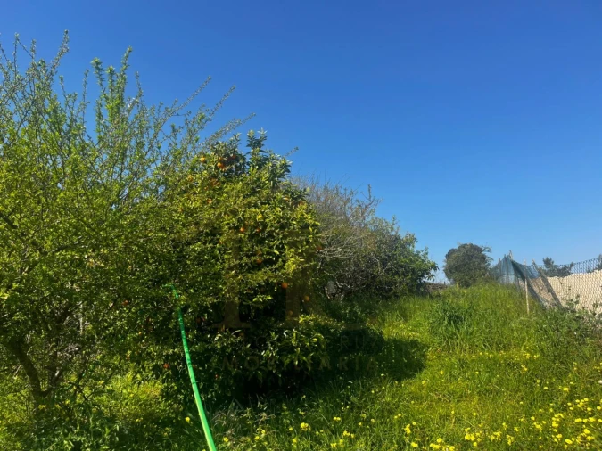 Moradia T2 para Venda em Esgueira Foto 19