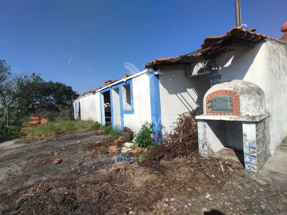 Terreno para Venda em Torres Novas (São Pedro), Lapas e Ribeira Branca Foto 4