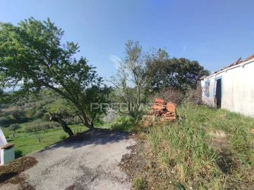 Terreno para Venda em Torres Novas (São Pedro), Lapas e Ribeira Branca