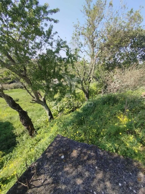 Terreno para Venda em Torres Novas (São Pedro), Lapas e Ribeira Branca