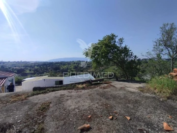Terreno para Venda em Torres Novas (São Pedro), Lapas e Ribeira Branca