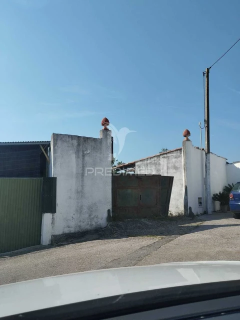 Terreno para Venda em Torres Novas (São Pedro), Lapas e Ribeira Branca