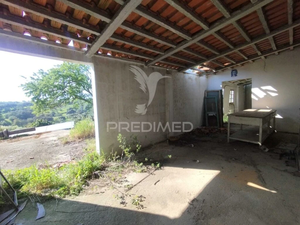 Terreno para Venda em Torres Novas (São Pedro), Lapas e Ribeira Branca Foto 8