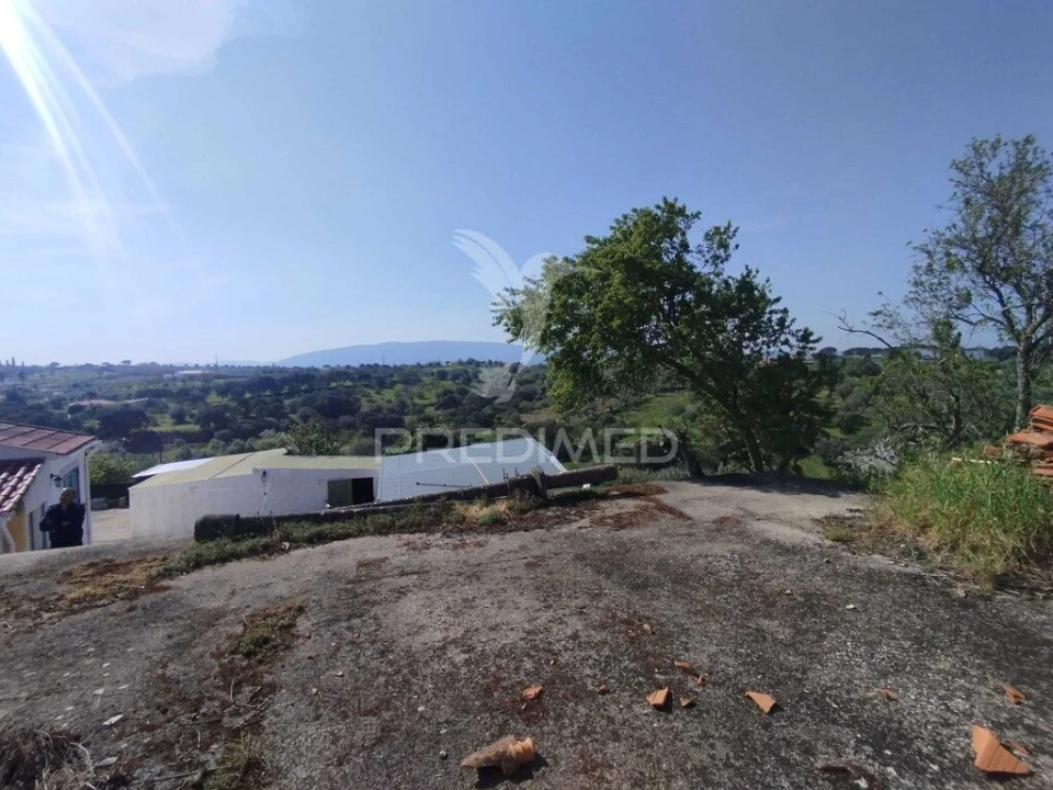 Terreno para Venda em Torres Novas (São Pedro), Lapas e Ribeira Branca Foto 9