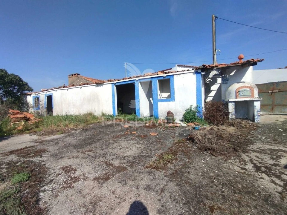 Terreno para Venda em Torres Novas (São Pedro), Lapas e Ribeira Branca Foto 10