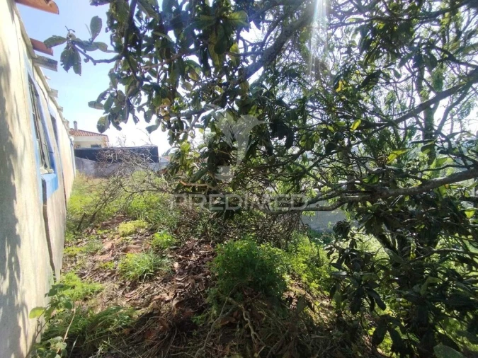 Terreno para Venda em Torres Novas (São Pedro), Lapas e Ribeira Branca Foto 12