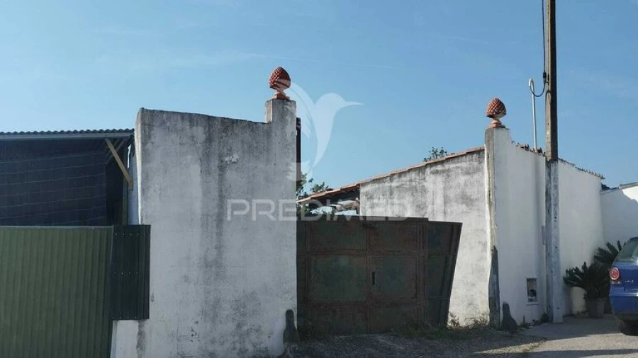 Terreno para Venda em Torres Novas (São Pedro), Lapas e Ribeira Branca