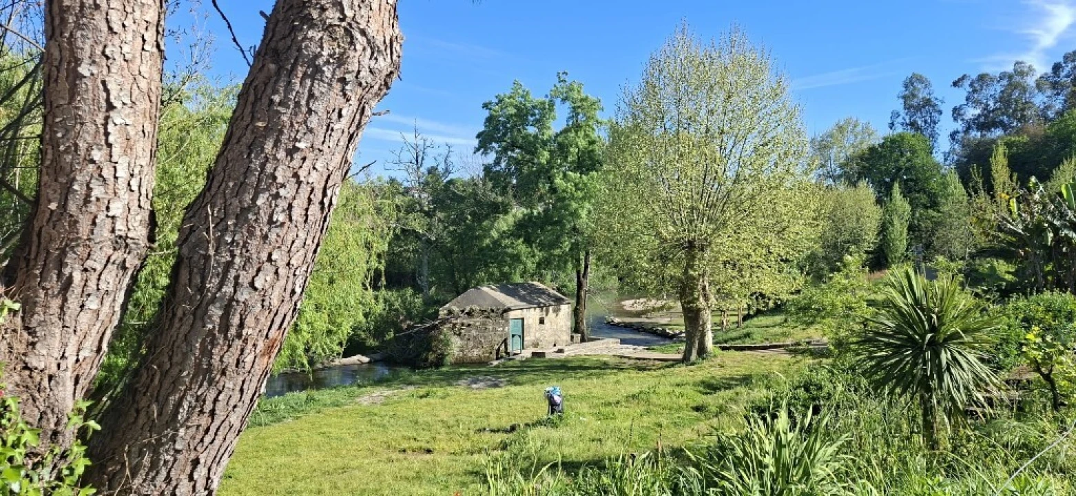 Moradia T3 para Venda em Soutelo Foto 7