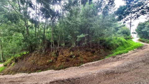 Terreno para Venda em Torres do Mondego