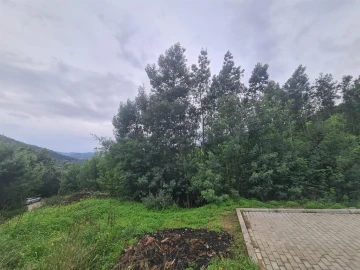 Terreno para Venda em Torres do Mondego