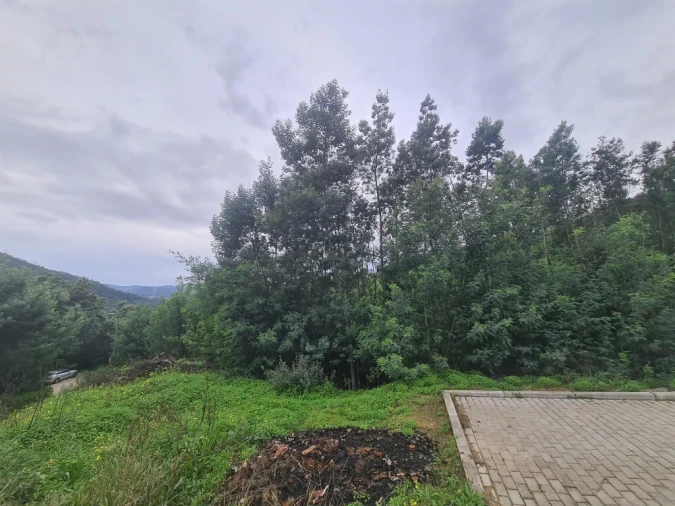 Terreno para Venda em Torres do Mondego Foto 2