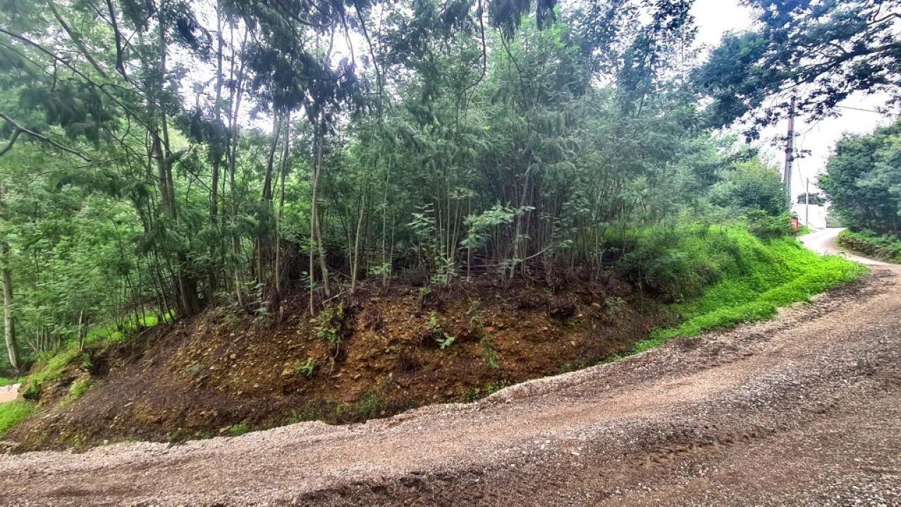 Terreno para Venda em Torres do Mondego Foto 1