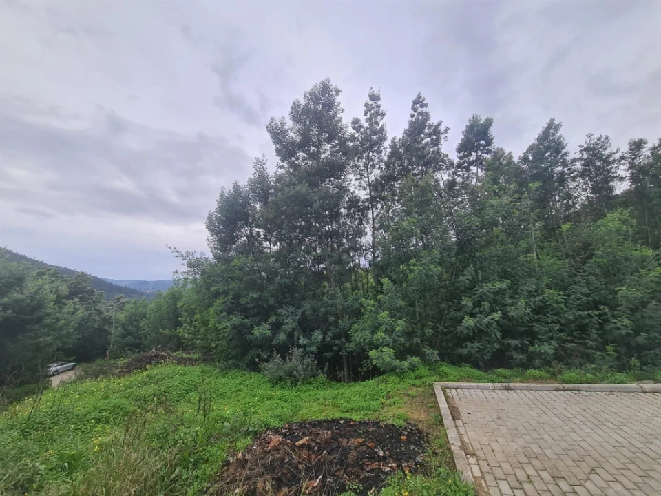 Terreno para Venda em Torres do Mondego Foto 2