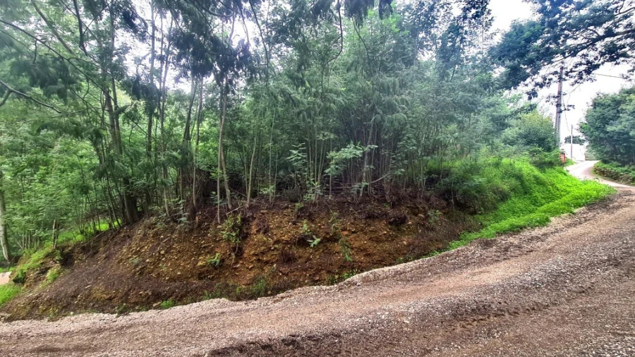 Terreno para Venda em Torres do Mondego