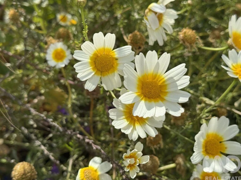 Moradia T3 para Venda em Vila Nova de Cacela Foto 28