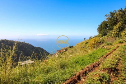 Terreno para Venda em Quinta Grande
