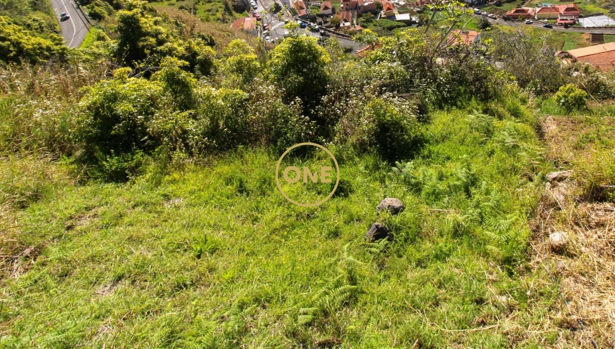 Terreno para Venda em Quinta Grande Foto 4