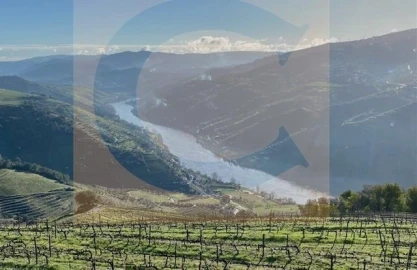 Quinta T3 para Venda em Cidadelhe