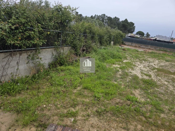 Terreno para Venda em Fernao Ferro Foto 15