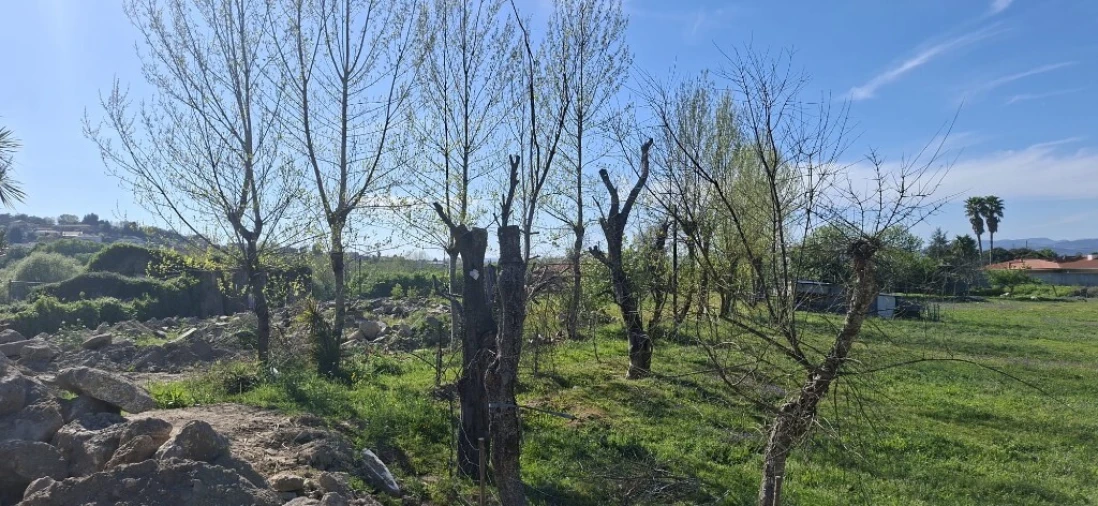 Moradia T3 para Venda em Adaufe Foto 10