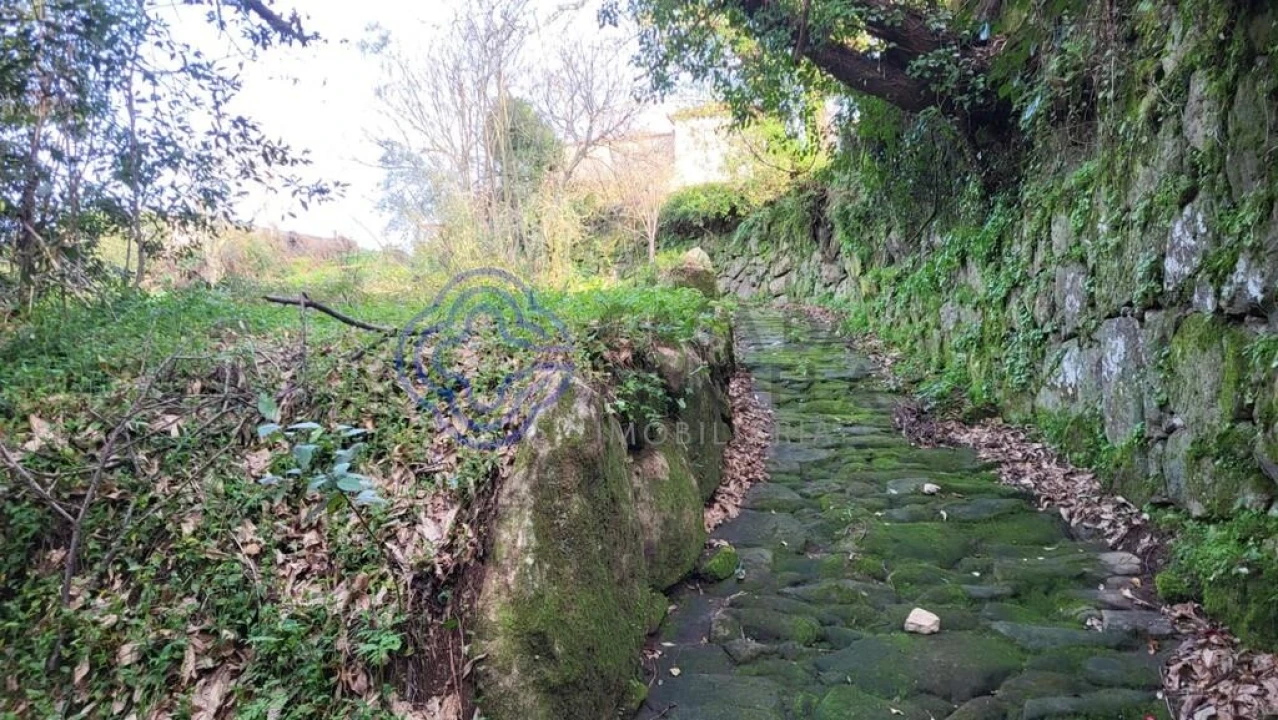 Terreno para Venda em Espadanedo Foto 5