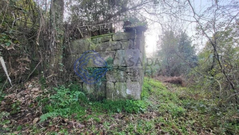 Terreno para Venda em Espadanedo